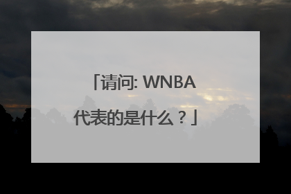 请问: WNBA代表的是什么？