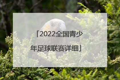 「2022全国青少年足球联赛详细」2022中国青少年足球联赛报名