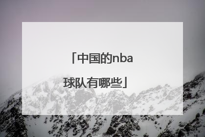 「中国的nba球队有哪些」nba季后赛有哪些球队