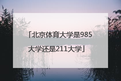 北京体育大学是985大学还是211大学